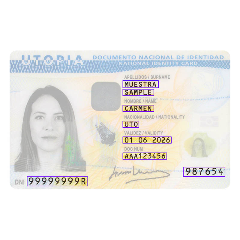 Introducerea Datelor Făcută Ușor Integrare Perfectă