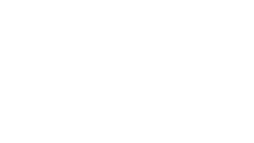 Optică largă
